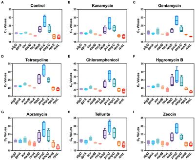 Housekeeping gene stability in Pesudomonas aeruginosa PAO1 under the pressure of commonly used antibiotics in molecular microbiology assays